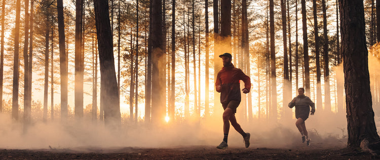 Two runners in a forest, dusk