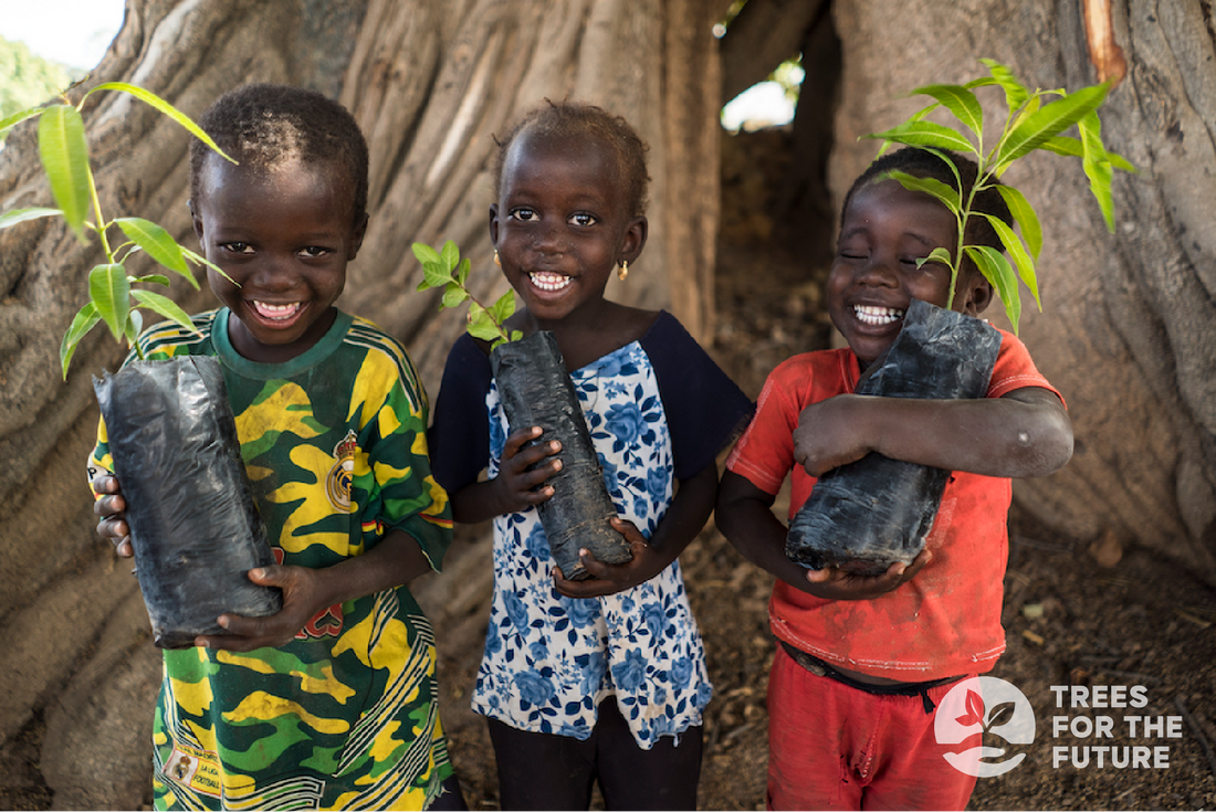 Three children holding tree seedlings