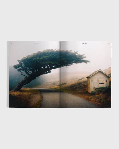 Waves & Woods Issue 39 - Flatlay
