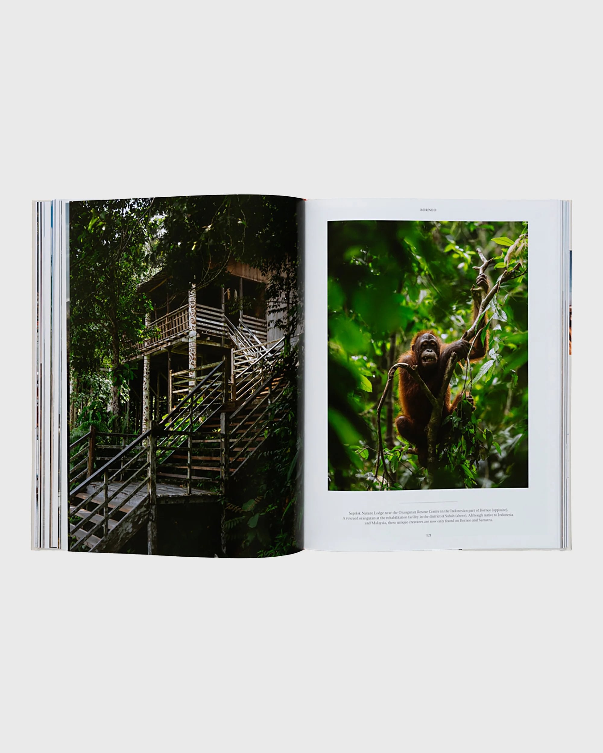 Life on the Road - Flatlay